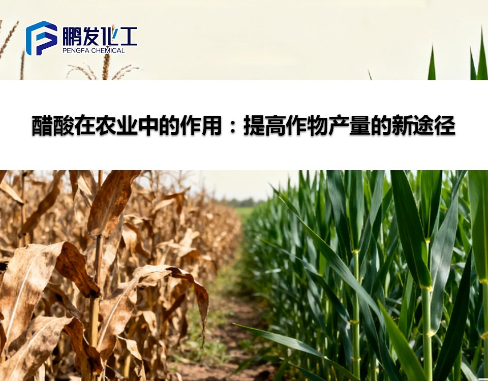 醋酸在农业中的作用：提高作物产量的新途径